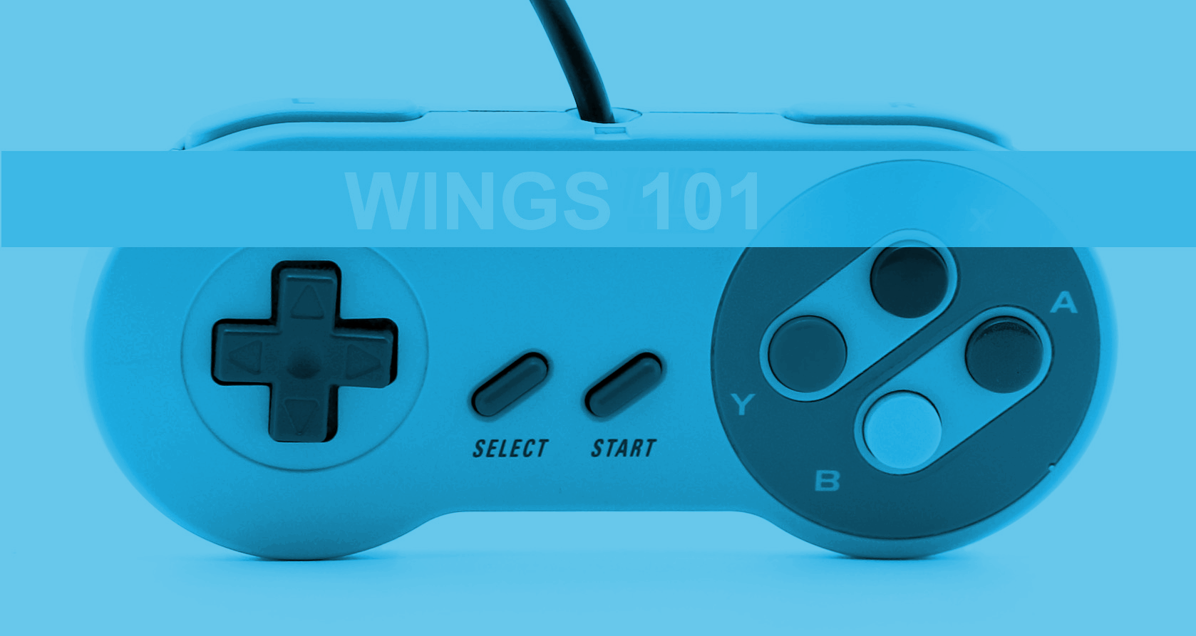 WINGS 101: Privilege and Videogames